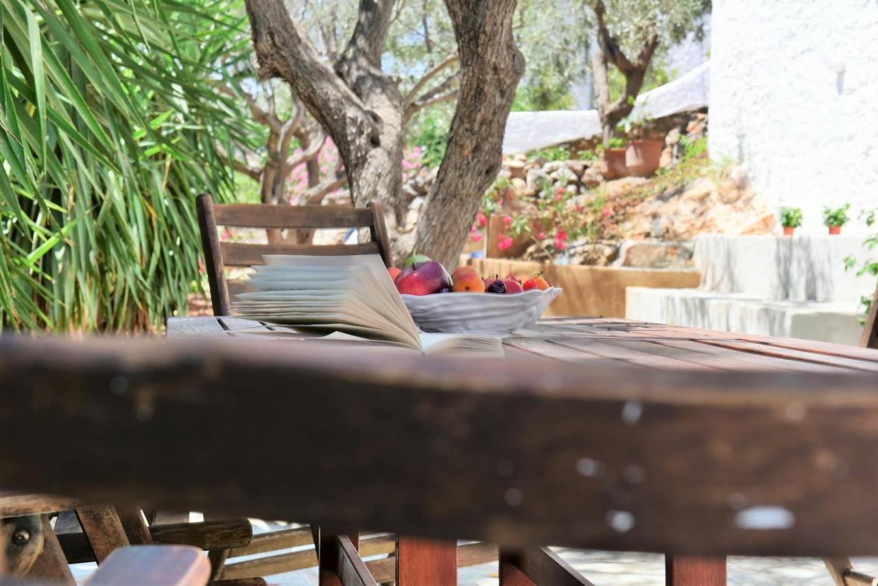 Loukia's Appartement Hydra (Saronic Islands)